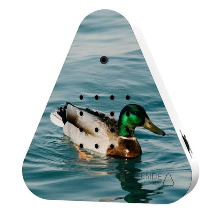 Lakesidebox Limited Edition Wild Duck 