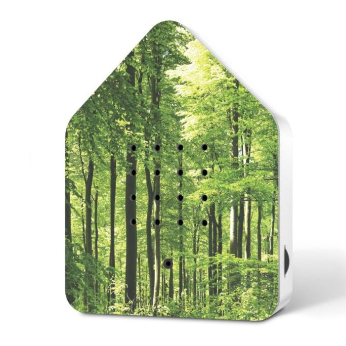 Zwitscherbox special edition forest